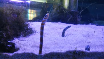 南知多ビーチランド＆南知多おもちゃ王国に投稿された画像（2020/9/22）