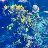 鳥羽水族館に投稿された画像（2020/9/22）