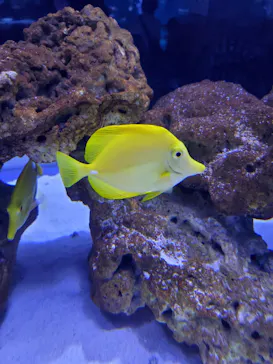 すみだ水族館に投稿された画像（2020/9/22）