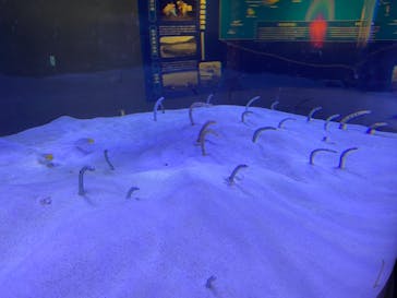 マリンワールド海の中道に投稿された画像（2020/9/22）