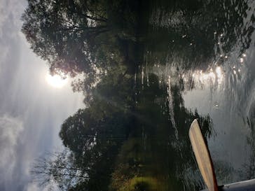 Matatabi（マタタビ）に投稿された画像（2020/9/22）