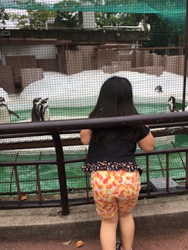 天王寺動物園に投稿された画像（2020/9/22）