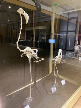 ネオパークオキナワに投稿された画像（2020/9/22）