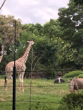 天王寺動物園に投稿された画像（2020/9/22）