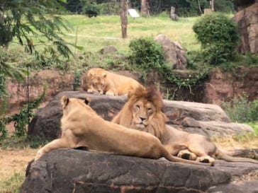 天王寺動物園に投稿された画像（2020/9/22）