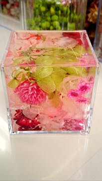 ずこうしつ〜sugamo〜に投稿された画像（2020/9/22）