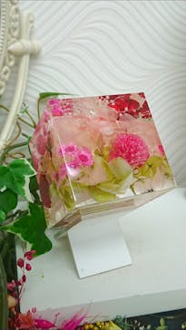 ずこうしつ〜sugamo〜に投稿された画像（2020/9/22）