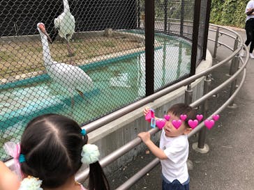 天王寺動物園に投稿された画像（2020/9/22）