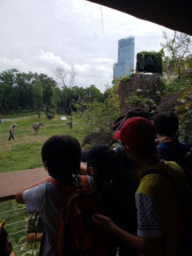 天王寺動物園に投稿された画像（2020/9/22）