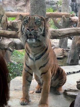 神戸どうぶつ王国に投稿された画像（2020/9/22）