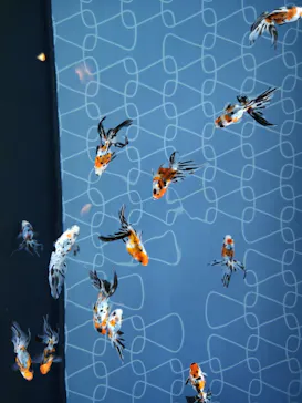 すみだ水族館に投稿された画像（2020/9/22）