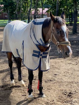 ノーザンホースパークに投稿された画像（2020/9/22）