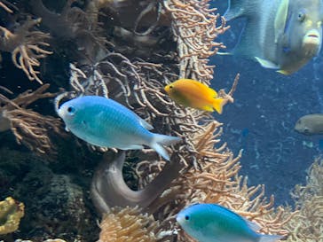 株式会社Gに投稿された画像（2020/9/22）