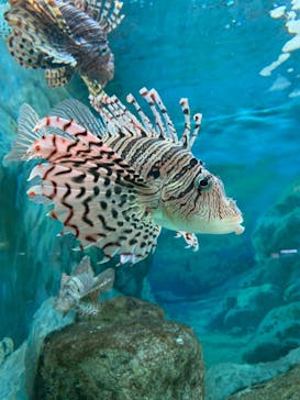 株式会社Gに投稿された画像（2020/9/22）