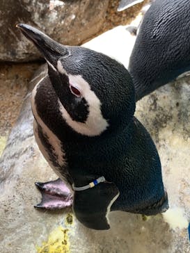 株式会社Gに投稿された画像（2020/9/22）