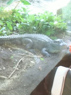 天王寺動物園に投稿された画像（2020/9/22）