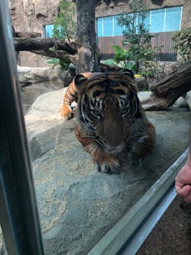 神戸どうぶつ王国に投稿された画像（2020/9/22）