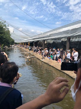 神戸どうぶつ王国に投稿された画像（2020/9/22）