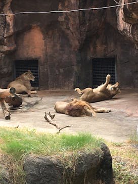 天王寺動物園に投稿された画像（2020/9/22）