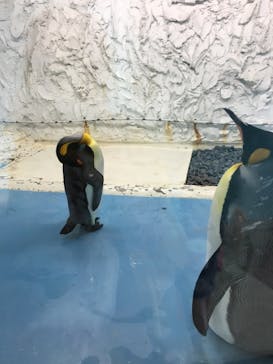 天王寺動物園に投稿された画像（2020/9/22）