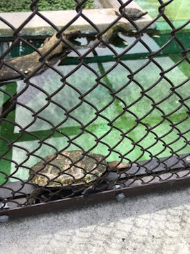 天王寺動物園に投稿された画像（2020/9/22）