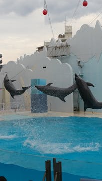 株式会社Gに投稿された画像（2020/9/22）