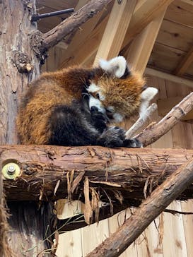 伊豆シャボテン動物公園に投稿された画像（2020/9/22）