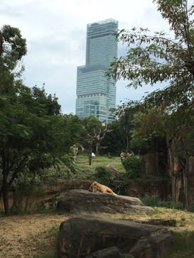 天王寺動物園に投稿された画像（2020/9/22）