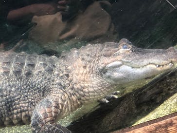 天王寺動物園に投稿された画像（2020/9/22）