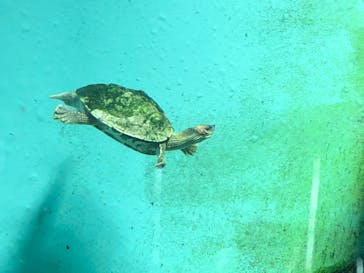 天王寺動物園に投稿された画像（2020/9/22）