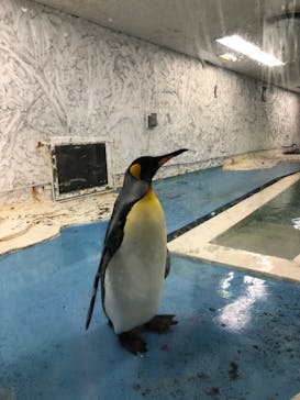 天王寺動物園に投稿された画像（2020/9/22）