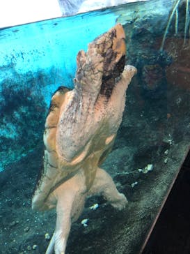 天王寺動物園に投稿された画像（2020/9/22）