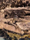 すみだ水族館に投稿された画像（2020/9/22）