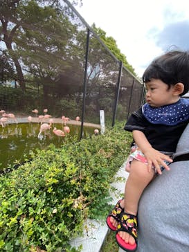 天王寺動物園に投稿された画像（2020/9/22）