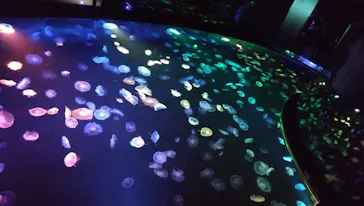 すみだ水族館に投稿された画像（2020/9/22）