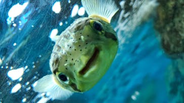 株式会社Gに投稿された画像（2020/9/22）