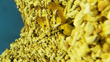 株式会社Gに投稿された画像（2020/9/22）