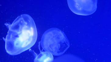 株式会社Gに投稿された画像（2020/9/22）