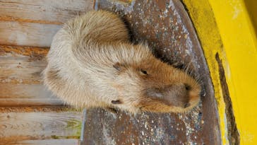 株式会社Gに投稿された画像（2020/9/22）