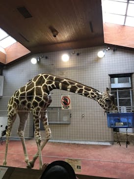 天王寺動物園に投稿された画像（2020/9/22）
