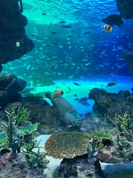 サンシャイン水族館に投稿された画像（2020/9/22）