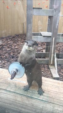 横浜・八景島シーパラダイスに投稿された画像（2020/9/22）