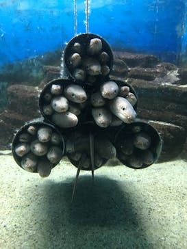 株式会社Gに投稿された画像（2020/9/22）