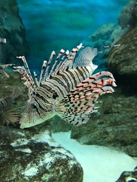 株式会社Gに投稿された画像（2020/9/22）