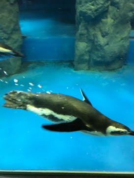 株式会社Gに投稿された画像（2020/9/22）