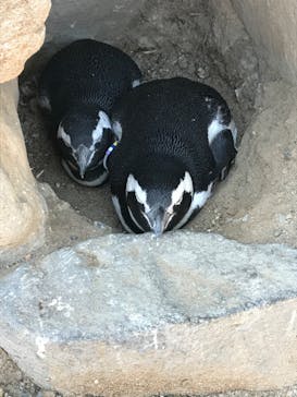 株式会社Gに投稿された画像（2020/9/22）