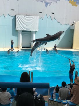 株式会社Gに投稿された画像（2020/9/22）