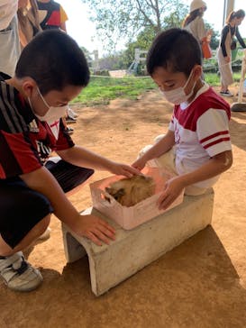 成田ゆめ牧場に投稿された画像（2020/9/22）