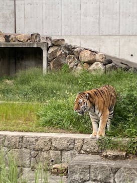 天王寺動物園に投稿された画像（2020/9/22）