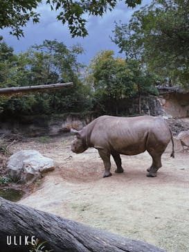 天王寺動物園に投稿された画像（2020/9/22）